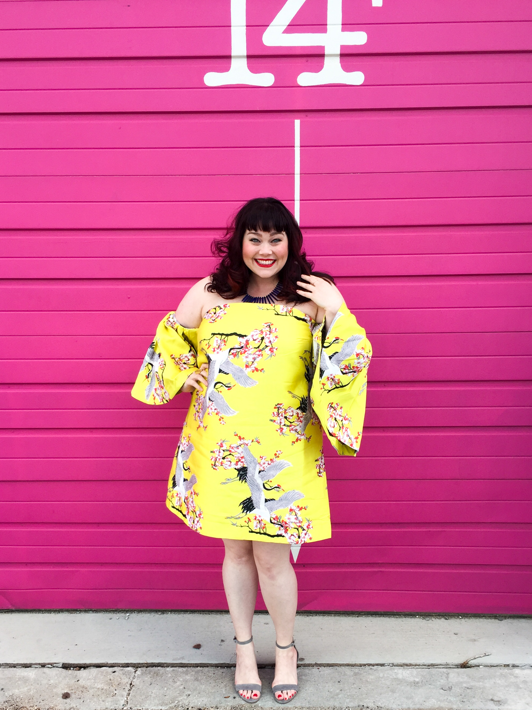 Chicago Blogger in ASOS CURVE Extreme Ruffle Sleeve Jacquard Mini Dress 