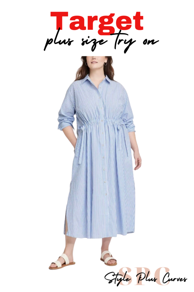 Plus Size Blue and White Striped Dress