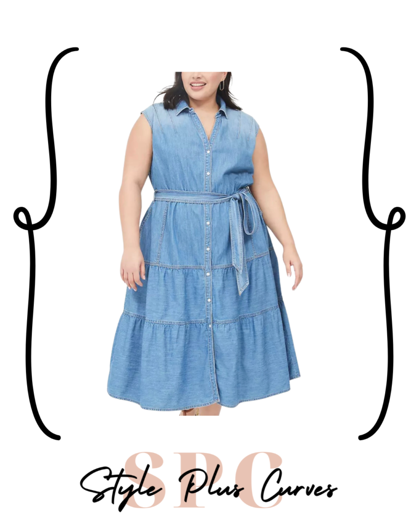 Plus Size Denim Midi Dress