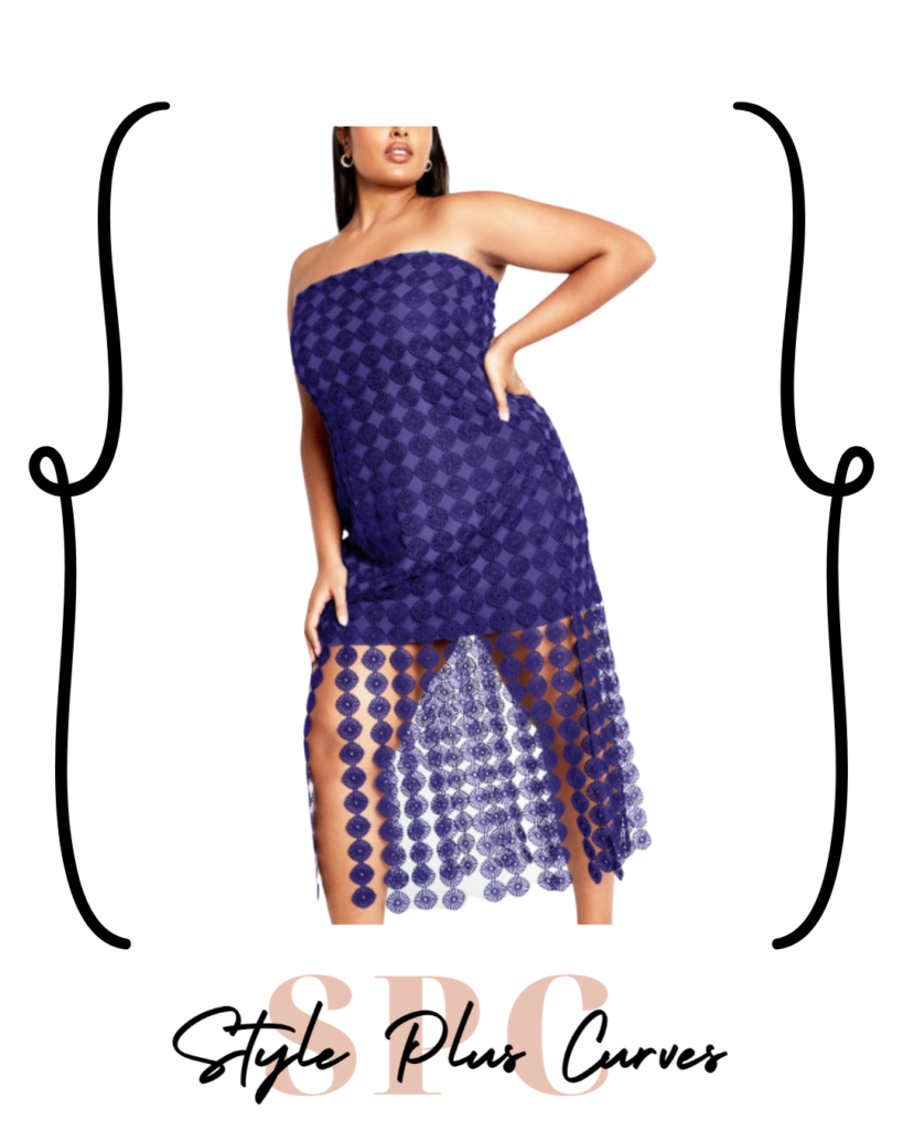 Plus Size Purple Crochet Overlay Dress